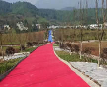 Resources thirty-nine pharmaceutical medicine planting base in Ya'an, Sichuan